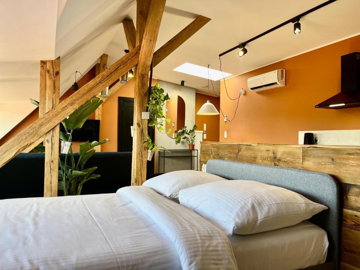 Stary Toruń Chopin View - Apartament Z Widokiem מראה חיצוני תמונה